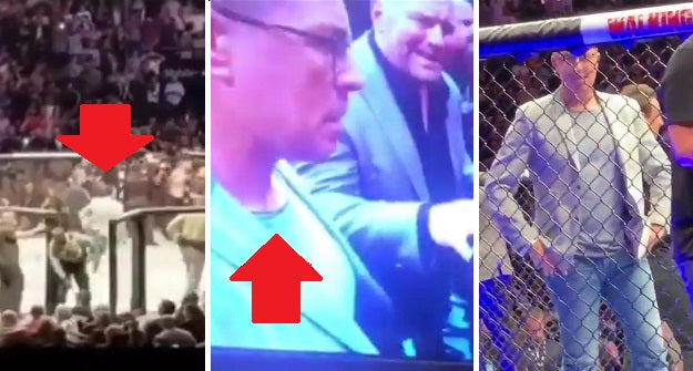 [Video] A Dublin man jumped into the cage to check on McGregor at UFC 229