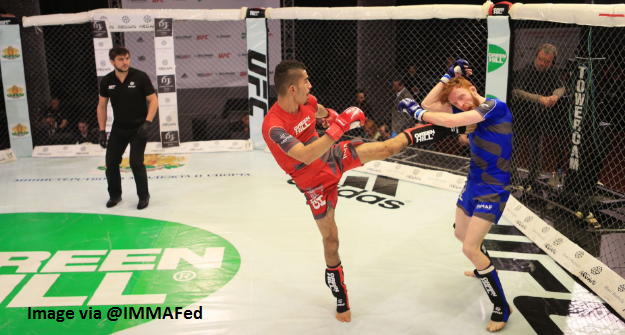 Live results from the IMMAF Euros Quarter Finals
