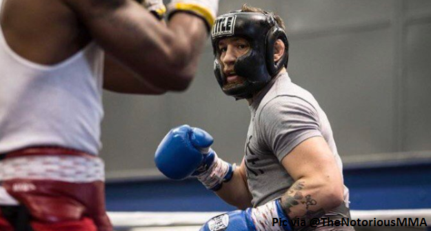 Meet three of the boxers McGregor has brought into his camp